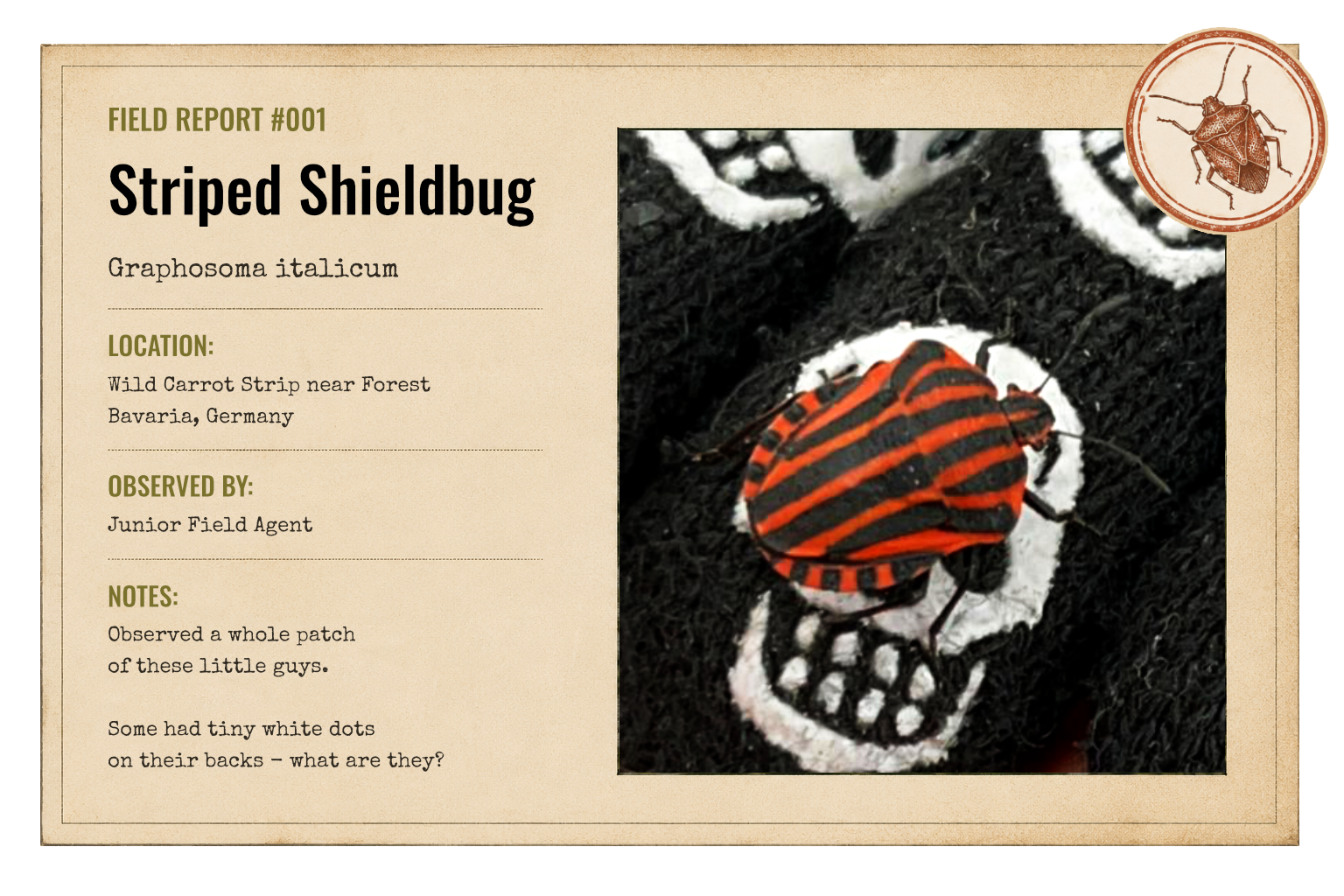 FIELD REPORT #001
